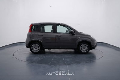 Fiat Panda 1.0 firefly hybrid s&s 70cv 5p.ti (7)