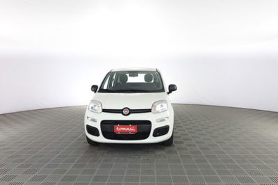 Fiat Panda Cross Cross 1.0 FireFly S&S Hybrid usata