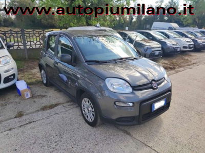 Fiat Panda 1.0 firefly hybrid s&s 70cv 5p.ti usata