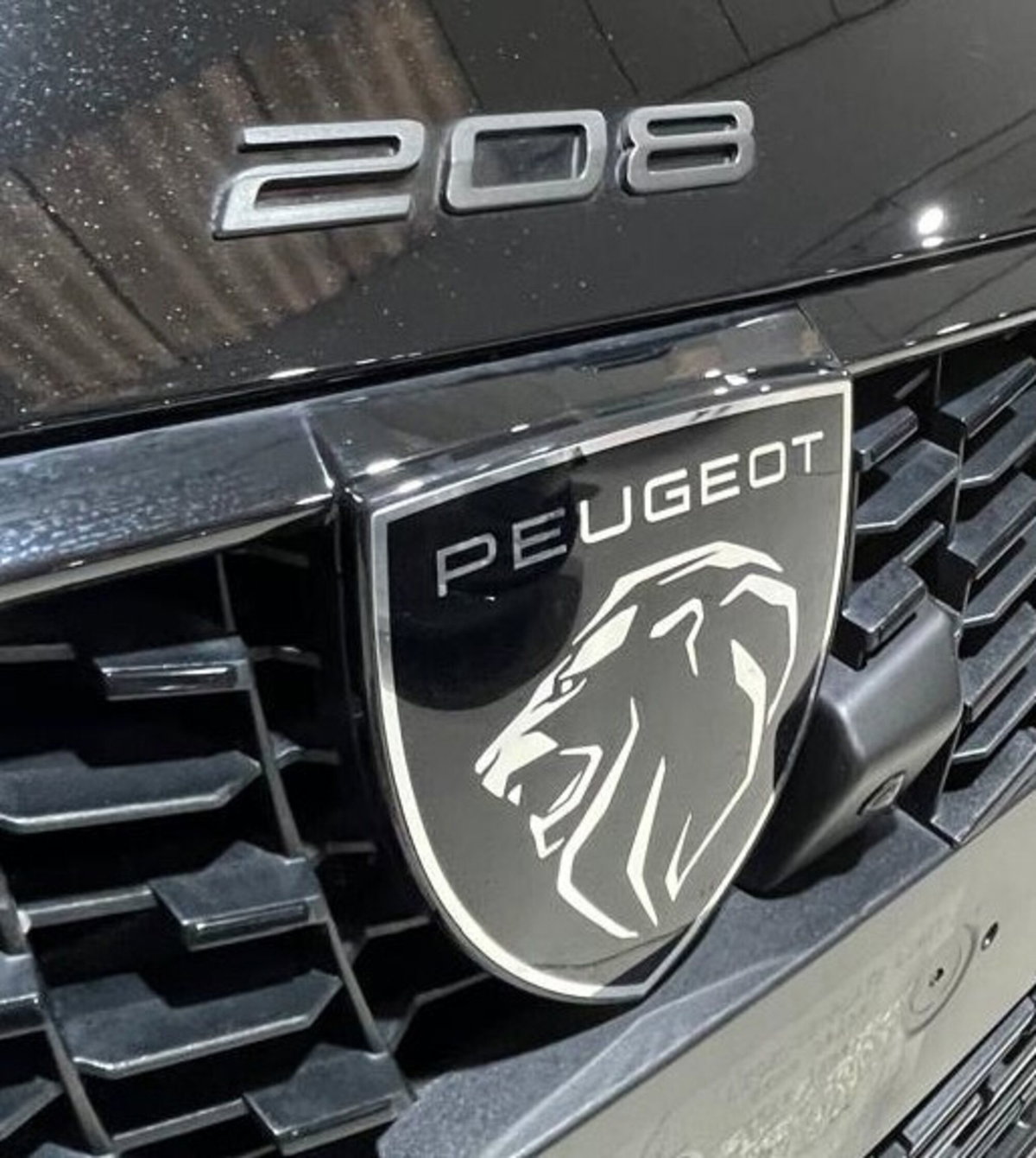 Peugeot 208 PureTech 100 Stop&Start 5 porte GT (15)