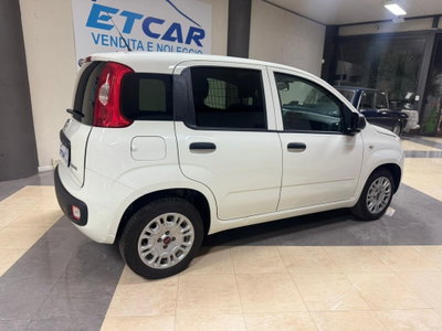 Fiat Panda van 1.0 hybrid Pop 70cv 2p.ti serie 4 E6d (6)