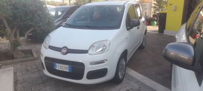 Fiat Panda 1.2 Easy usata