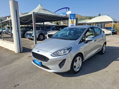Ford Fiesta 1.5 EcoBlue 5 porte Business High usata