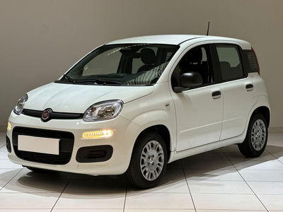 Fiat Panda 1.0 firefly hybrid Icon s&s 70cv nuova