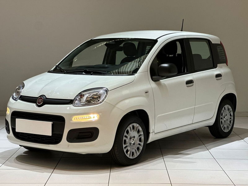 Fiat Panda 1.0 firefly hybrid Icon s&s 70cv