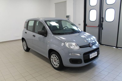 Fiat Panda 1.2 Easy (3)