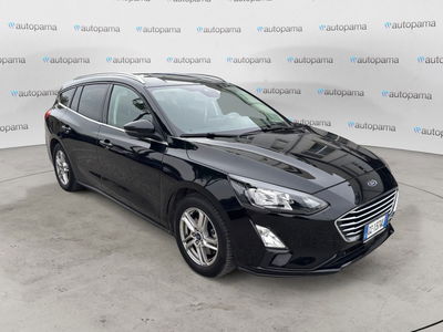 Ford Focus Station Wagon 1.5 EcoBlue 95 CV SW Business usata