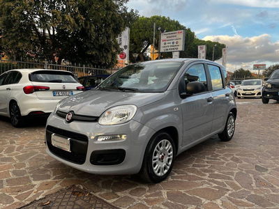Fiat Panda Cross Cross 1.0 FireFly S&S Hybrid usata