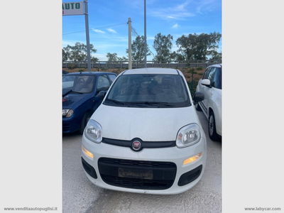 Fiat Panda 1.0 FireFly S&S Hybrid City Cross usata