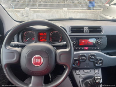 Fiat Panda Cross Cross 1.0 FireFly S&S Hybrid (3)