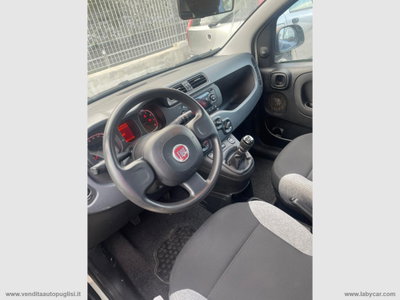 Fiat Panda Cross Cross 1.0 FireFly S&S Hybrid (4)