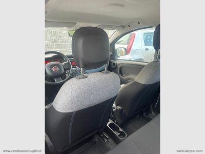 Fiat Panda Cross Cross 1.0 FireFly S&S Hybrid (6)