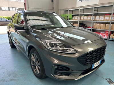 Ford Kuga 1.5 EcoBlue 120 CV 2WD ST-Line usata