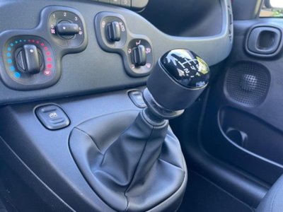 Fiat Panda 1.0 firefly hybrid s&s 70cv 5p.ti (10)