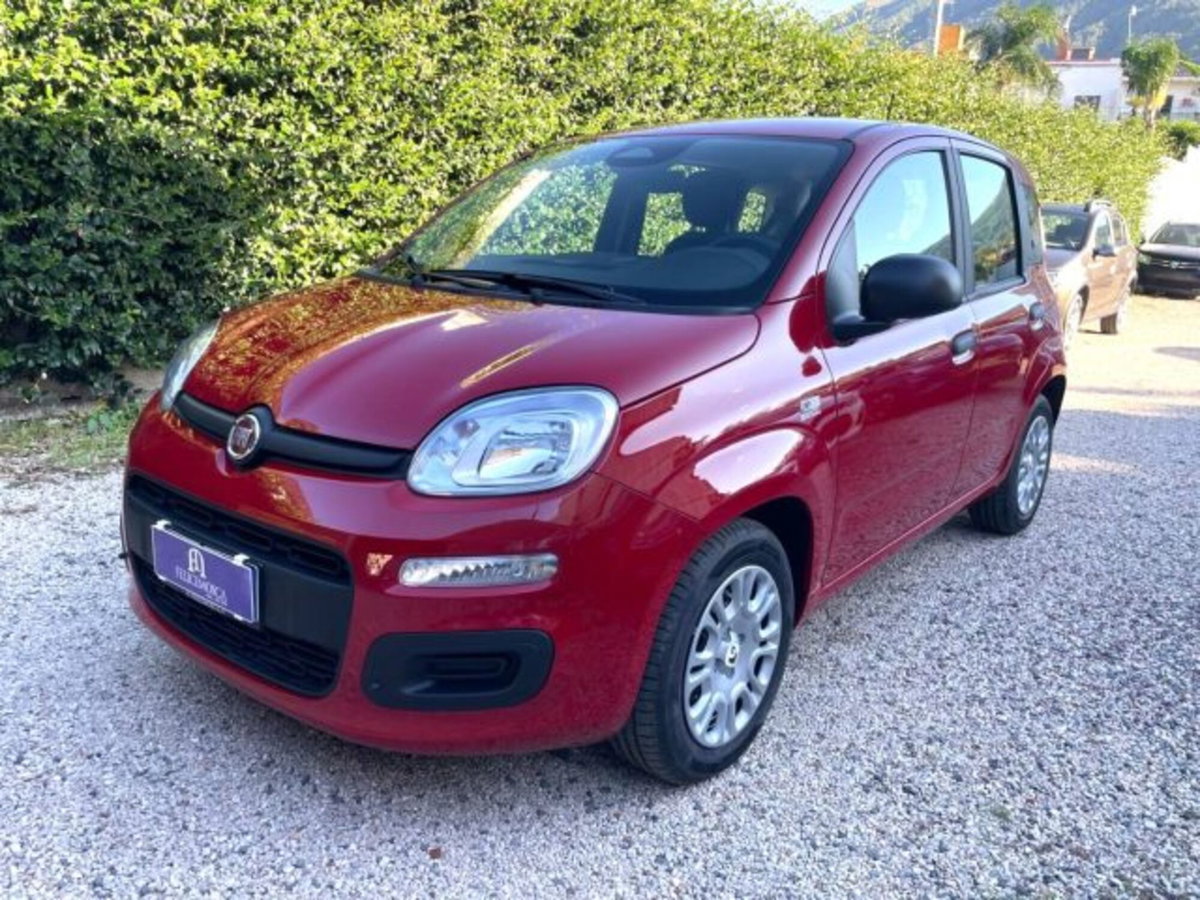Fiat Panda 1.0 firefly hybrid s&s 70cv 5p.ti (2)