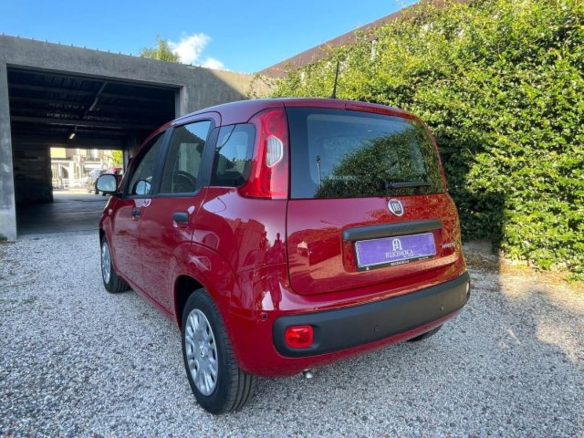 Fiat Panda 1.0 firefly hybrid s&s 70cv 5p.ti (6)