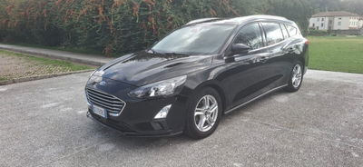 Ford Focus 1.5 EcoBlue 120 CV automatico 5p. Business Co-Pilot usata