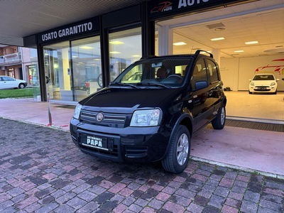 Fiat Panda 1.2 4x4 usata