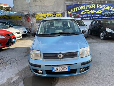 Fiat Panda 1.2 Dynamic usata