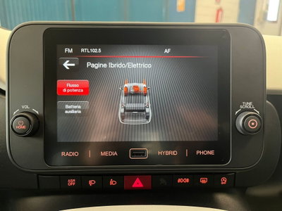 Fiat Panda Cross Cross 1.0 FireFly S&S Hybrid (20)