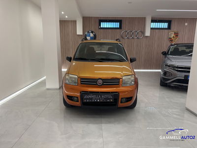 Fiat Panda 1.2 Active Natural Power usata
