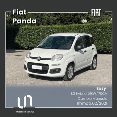 Fiat Panda 1.0 firefly hybrid s&s 70cv 5p.ti usata