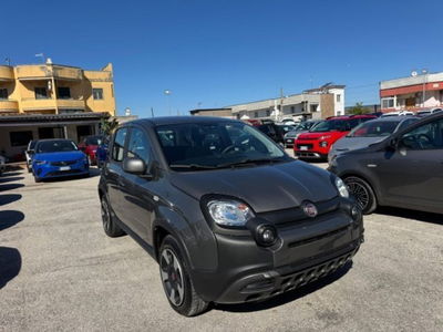 Fiat Panda Cross 1.0 firefly hybrid Cross s&s 70cv 5p.ti usata