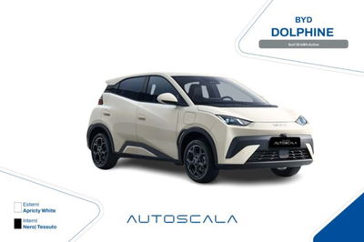 Byd Dolphin Surf 30 kWh Active nuova