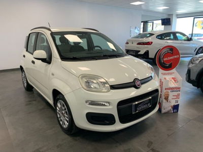 Fiat Panda 1.2 EasyPower Lounge usata