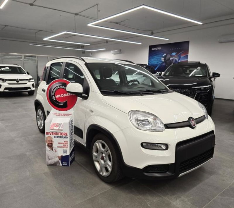 Fiat Panda 1.0 firefly hybrid s&s 70cv