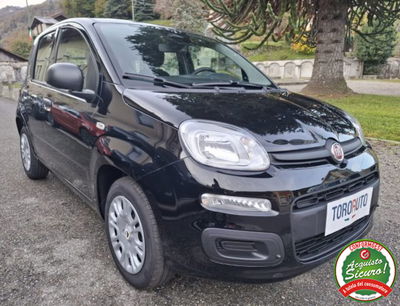 Fiat Panda 1.0 firefly hybrid Icon s&s 70cv nuova