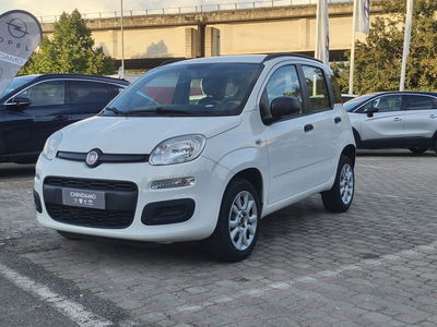 Fiat Panda 0.9 TwinAir Turbo Natural Power Easy usata