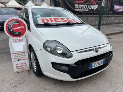 Fiat Punto Evo 1.3 Mjt 75 CV 5 porte Active usata