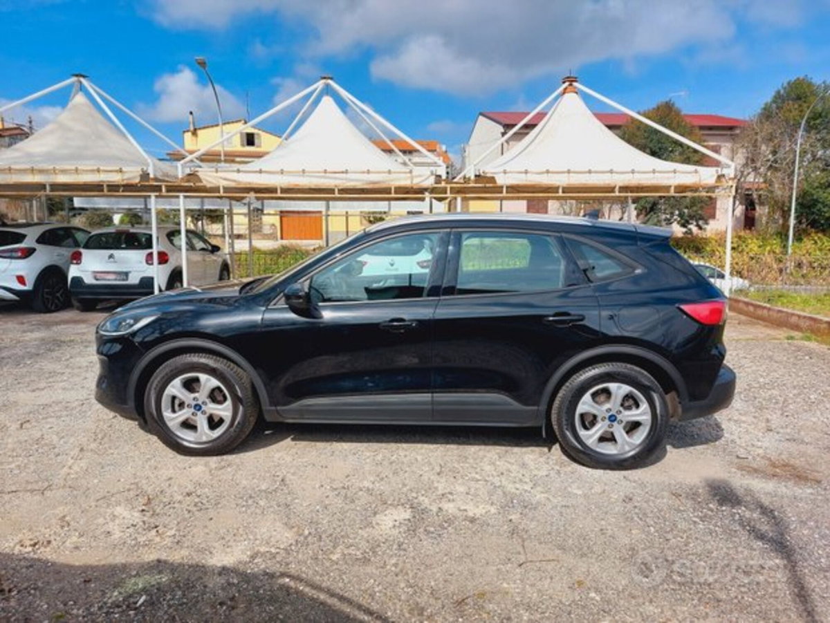 Ford Kuga 1.5 EcoBlue 120 CV 2WD Titanium (12)