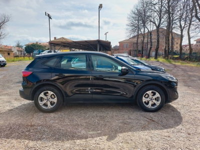 Ford Kuga 1.5 EcoBlue 120 CV 2WD Titanium (13)