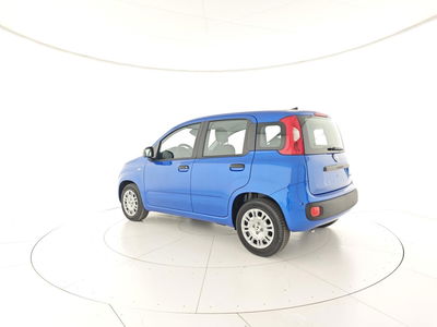 Fiat Panda 1.0 FireFly S&S Hybrid City Cross nuova