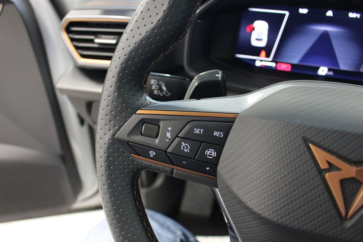 Cupra Formentor Formentor 1.5 TSI (10)