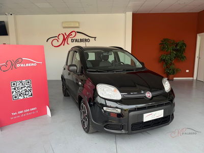 Fiat Panda 1.0 FireFly S&S Hybrid City Cross usata