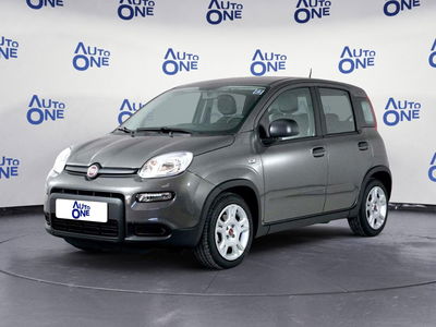 Fiat Panda 1.0 FireFly S&S Hybrid City Cross usata