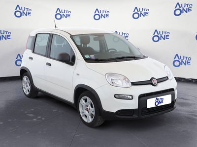 Fiat Panda 1.0 FireFly S&S Hybrid City Cross usata