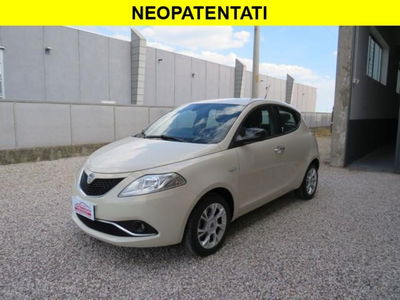 Lancia Ypsilon 1.3 MJT 16V 95 CV 5 porte S&S Gold usata