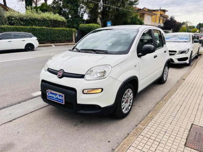 Fiat Panda 1.0 firefly hybrid s&s 70cv 5p.ti usata
