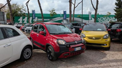 Fiat Panda Cross 1.0 firefly hybrid Cross s&s 70cv 5p.ti usata
