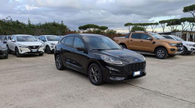 Ford Kuga 2.0 EcoBlue 120CV aut. AWD ST-Line X usata