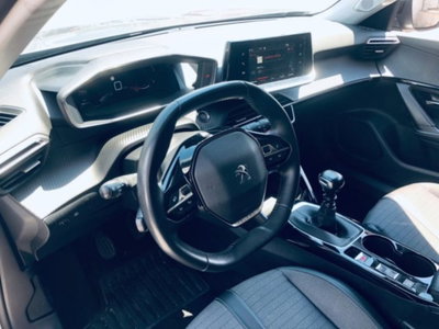 Peugeot 2008 BlueHDi 110 S&S Allure (15)