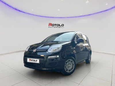 Fiat Panda 1.0 FireFly S&S Hybrid City Cross nuova