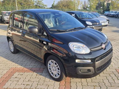 Fiat Panda 1.0 firefly hybrid s&s 70cv 5p.ti nuova