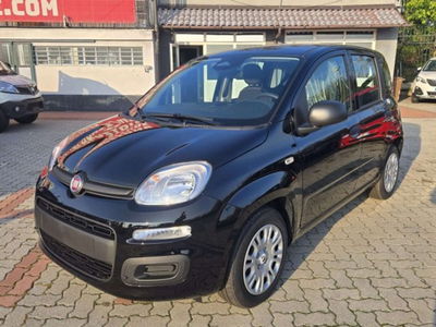 Fiat Panda 1.0 firefly hybrid s&s 70cv 5p.ti nuova