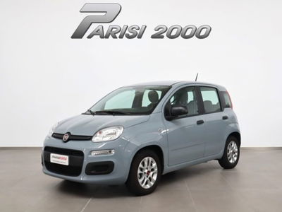 Fiat Panda 1.0 firefly hybrid s&s 70cv 5p.ti usata