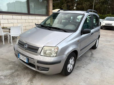 Fiat Panda 1.2 Dynamic usata